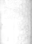L_W15b2710 A12w0059 N216 khd sectionpencil B